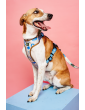 Pressure-free harness for dog MySkylos