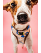 Pressure-free harness for dog MySkylos