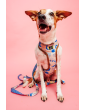 Adjustable dog leash MySkylos