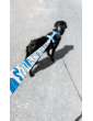 Adjustable dog leash MySkylos