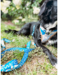 Adjustable dog leash MySkylos