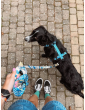 Adjustable dog leash MySkylos