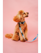 Dog leash MySkylos