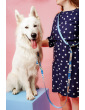 Smycz dla psa z pasem biodrowym Hippie Hound