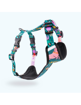 Pressure-free harness for dog BieGAJ