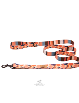 Dog leash Hippie Hound
