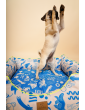 Moe dog bed MySkylos