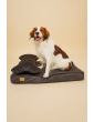 Orthopedic bed for a dog SONO Velvet Waterproof Black