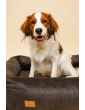 Orthopedic bed for a dog SONO Velvet Waterproof Black