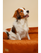 Orthopedic bed for a dog SONO Velvet Waterproof Cognac