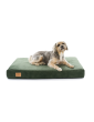 Orthopedic dog mattress Green Recycled Velvet with bone shaped pillow