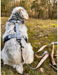 Pressure-free harness for dog Flower HAUer