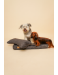 Orthopedic dog mattress Waterproof Black Velvet with bone shaped pillow