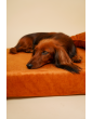 Orthopedic dog mattress Waterproof Cognac Velvet with bone shaped pillow