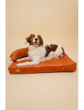 Orthopedic dog mattress Waterproof Cognac Velvet with bone shaped pillow