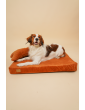 Orthopedic dog mattress Waterproof Cognac Velvet with bone shaped pillow