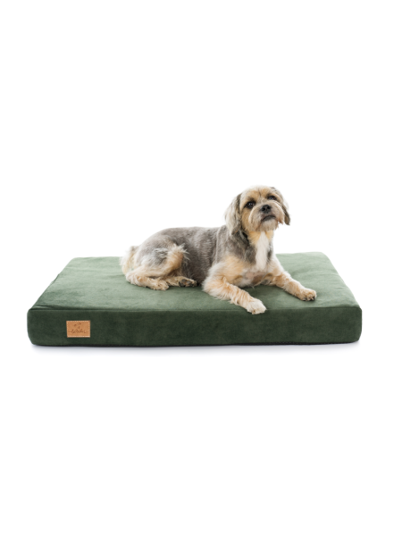 Orthopedic dog mattress Velvet Recycled Beige with bone shaped pillow