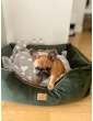 Moe dog bed EMERALD GREEN RECYCLED VELVET