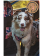 Kuko+ dog seat cover "Hippie Hound" WITH SEAT BELT