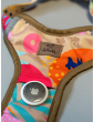 Pressure-free harness for dog HAU ARE YOU SUMMER
