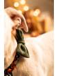 Christmas dog collar JingleBells