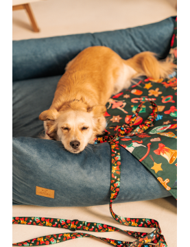 Dog leash JingleBells