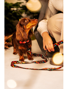 Adjustable dog leash JingleBells