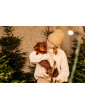 Adjustable dog leash JingleBells