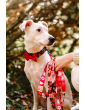 Adjustable dog leash JoyFul