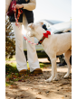 Adjustable dog leash JoyFul