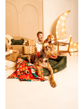 Joyful Christmas Dog Blanket