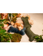 Cube Pillow for Dogs VELVET BOTTLE GREENsize S/M
