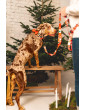 Dog collar Joyful for Christmas