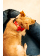 Dog collar Joyful for Christmas
