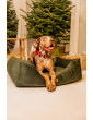 Dog collar Joyful for Christmas