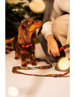 JingleBells Christmas Dog Leash with Waist Bel