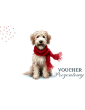 Voucher Prezentowy - Wartość: 100 / 200 / 300 / 400