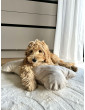 Cube Pillow for Dogs VELVET Beige size S/M