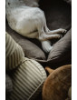 Orthopedic bed for a dog SONO Velvet Recycling Beige