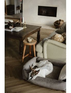 Orthopedic bed for a dog SONO Velvet Recycling Beige
