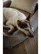 Orthopedic bed for a dog SONO Velvet Recycling Beige