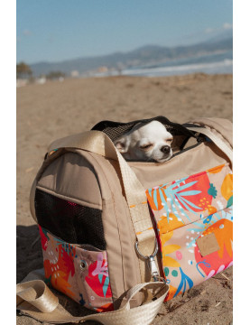 Bag / Airline Pet Carrier Backpack