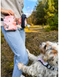 Flower Hauer Set: Waist Bag for Walks + Treat Pouch