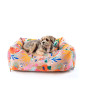 Moe dog bed Hau are you summer