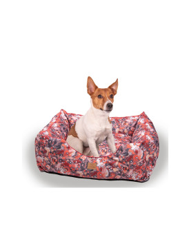 Moe dog bed Dog Is In The Air