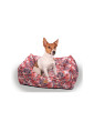 Moe dog bed Dog Is In The Air
