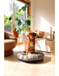 Dog bed cover - round cushion with blanket RECYCLED VELVET - COLORS