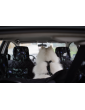 Kuko+ QUILTED 2-in-1 Dog Car Seat Cover – With Side Panels and Reinforced Base