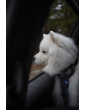 Kuko+ QUILTED dog car seat cover WITH SAFETY BELT