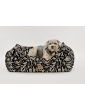 Moe dog bed WestWOOF story